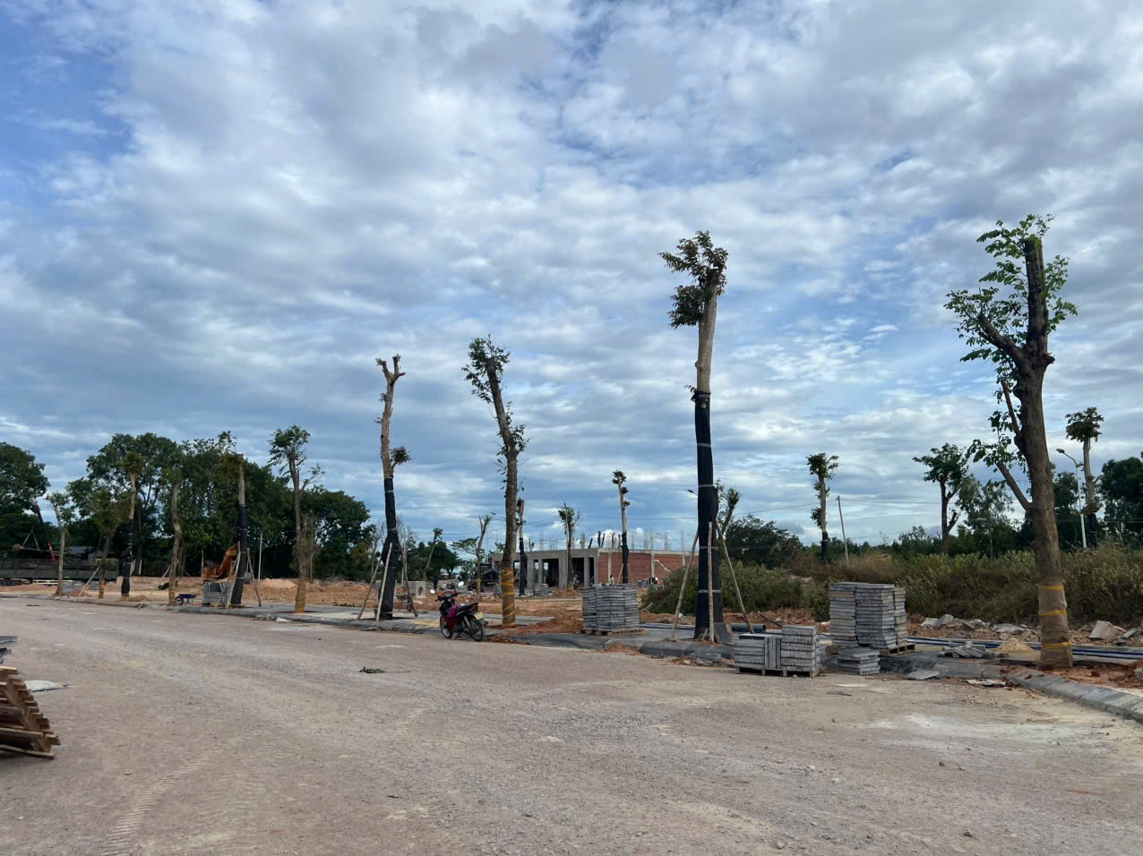 z6861298160161 1cd852f32ab056a0f5715cb4588a7398